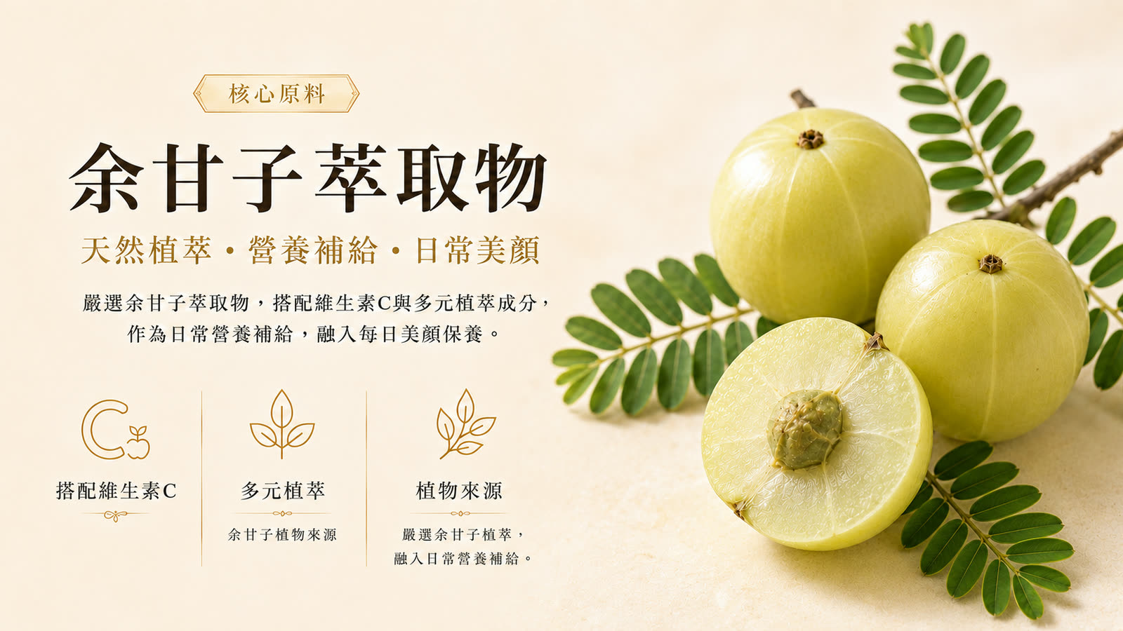 專利余甘子C膠囊 產品介紹 第 3 張,共 6 張