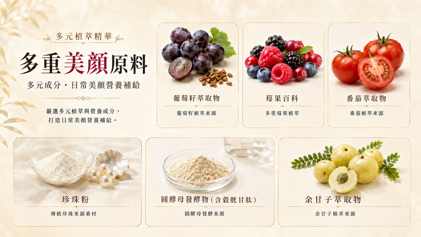 專利余甘子C膠囊 產品介紹 第 4 張,共 6 張