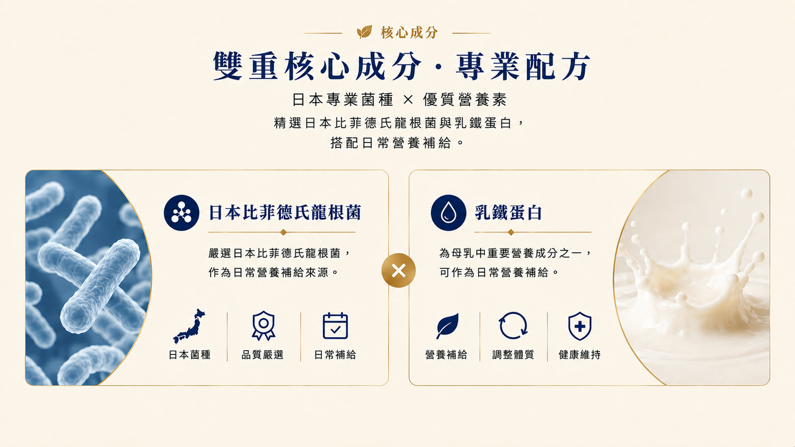 日本比菲德氏龍根菌膠囊 產品介紹 第 3 張，共 6 張